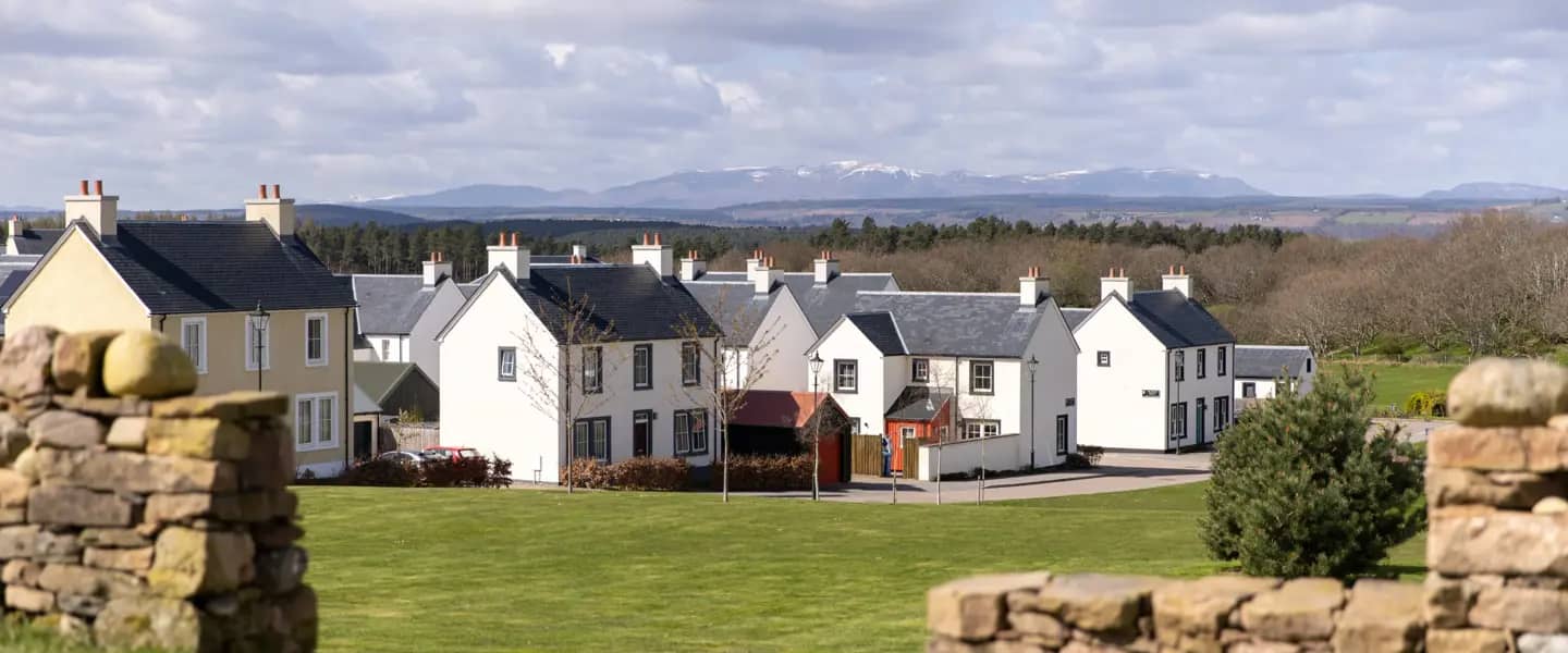 street-scene-17 copy